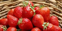 De grosses fraises rouges dans un rêve - pour de bon ou pas ?