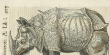 Historiae Animalium - Історії тварин