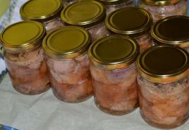 Technology for home canning of meat and fish How to make canned meat