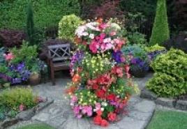 Compositions de jardin polyvalentes : parterres de fleurs et parterres de fleurs